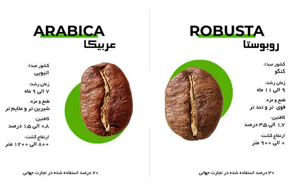قهوه روبوستا یا عربیکا